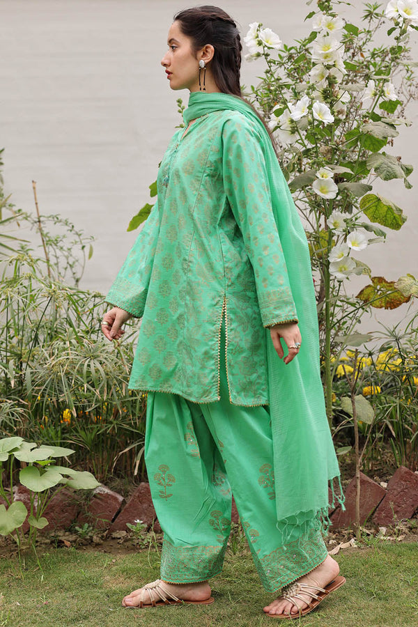 Rang-e-Jamni Farshi Set