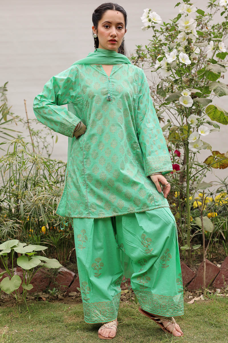Rang-e-Jamni Farshi Set