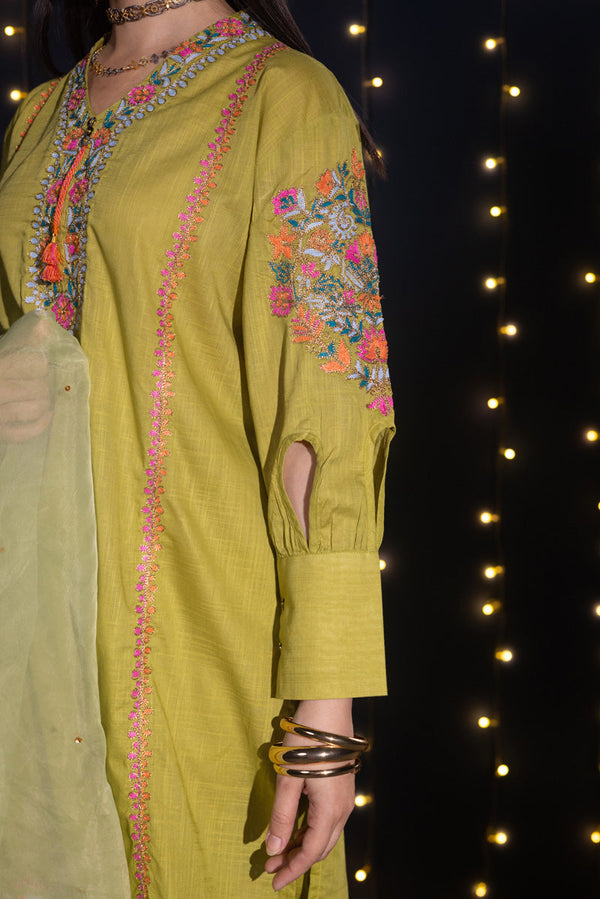 Embroidered Mehr Set