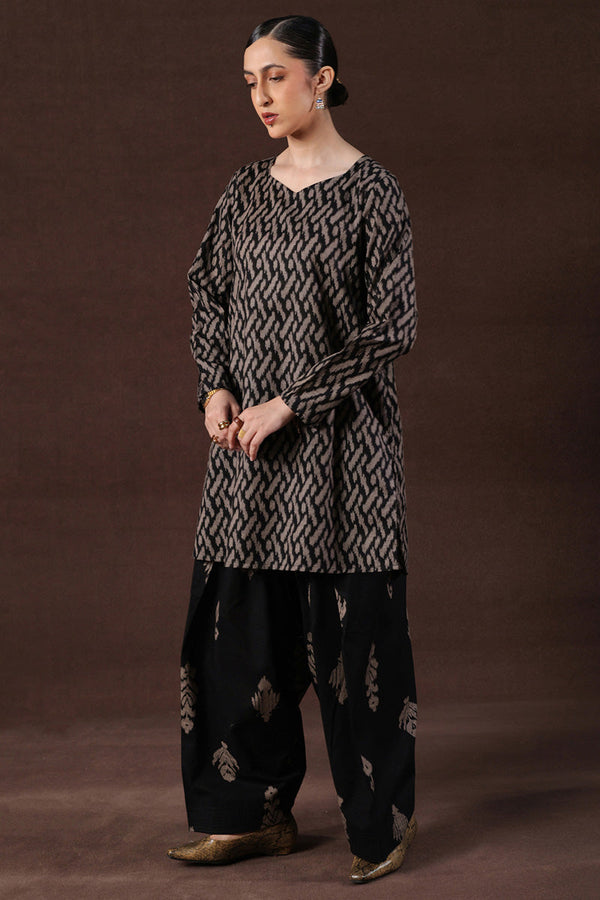 Ikkat Whisper Co-Ord Set