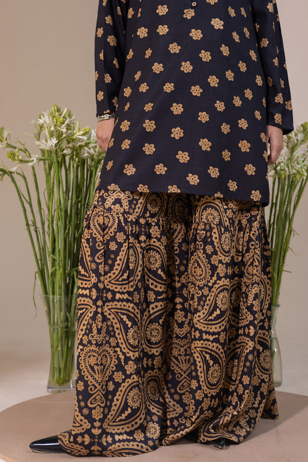 Hungarian Gharara Set