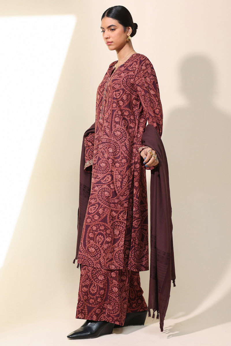 Aari Paisley Printed Set