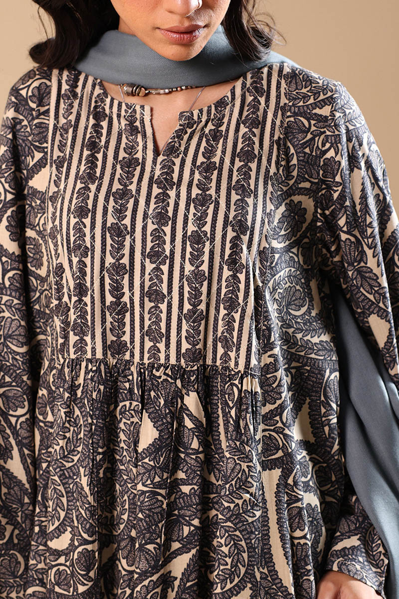 Aari Paisley Flared Dress