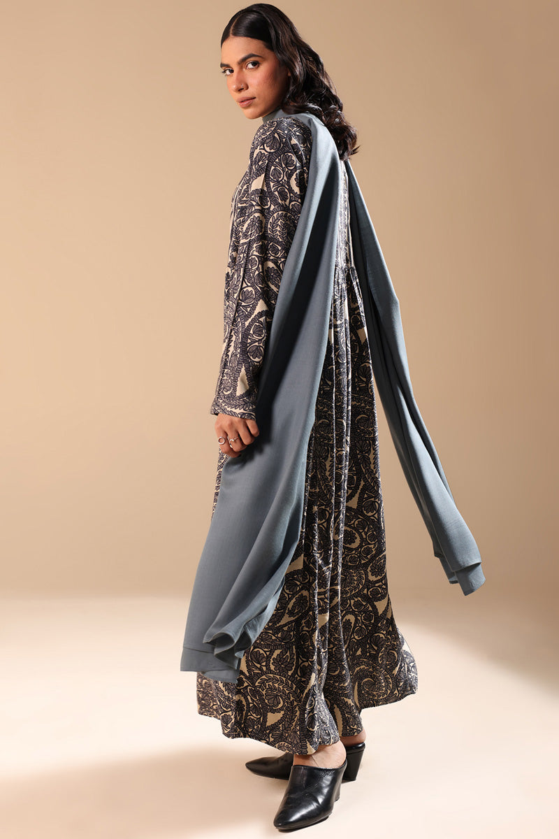 Aari Paisley Flared Dress