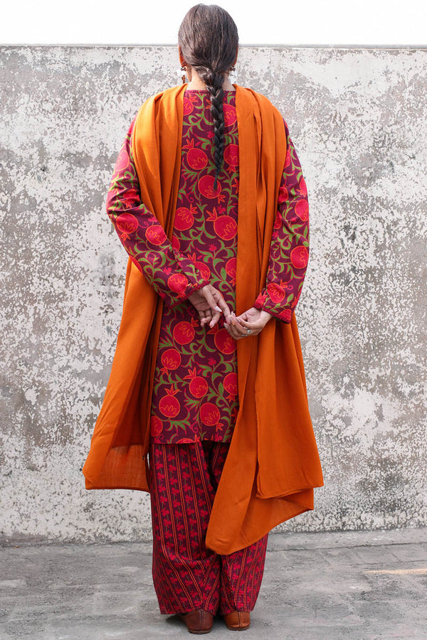 Printed Suzani Farshi Set