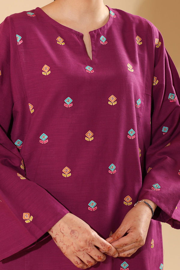 Embroidered Pixel Play Kurta