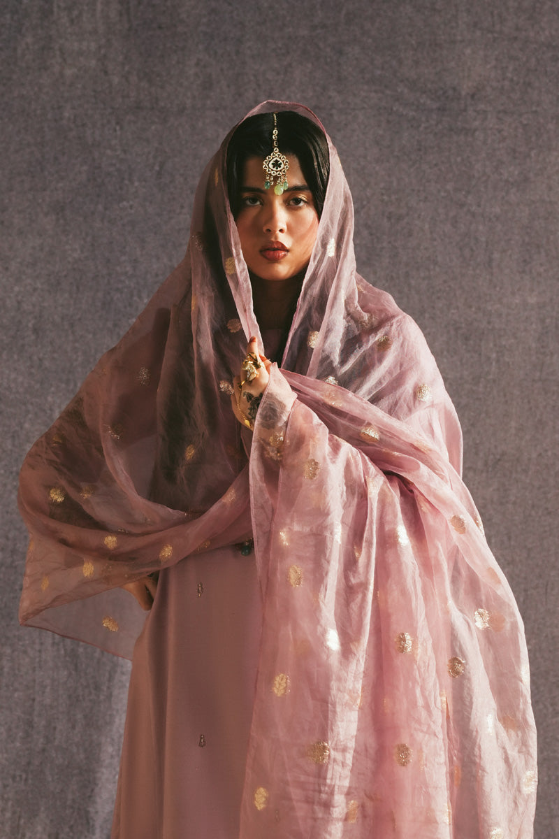 Raqs-e-Nur Sharara Set