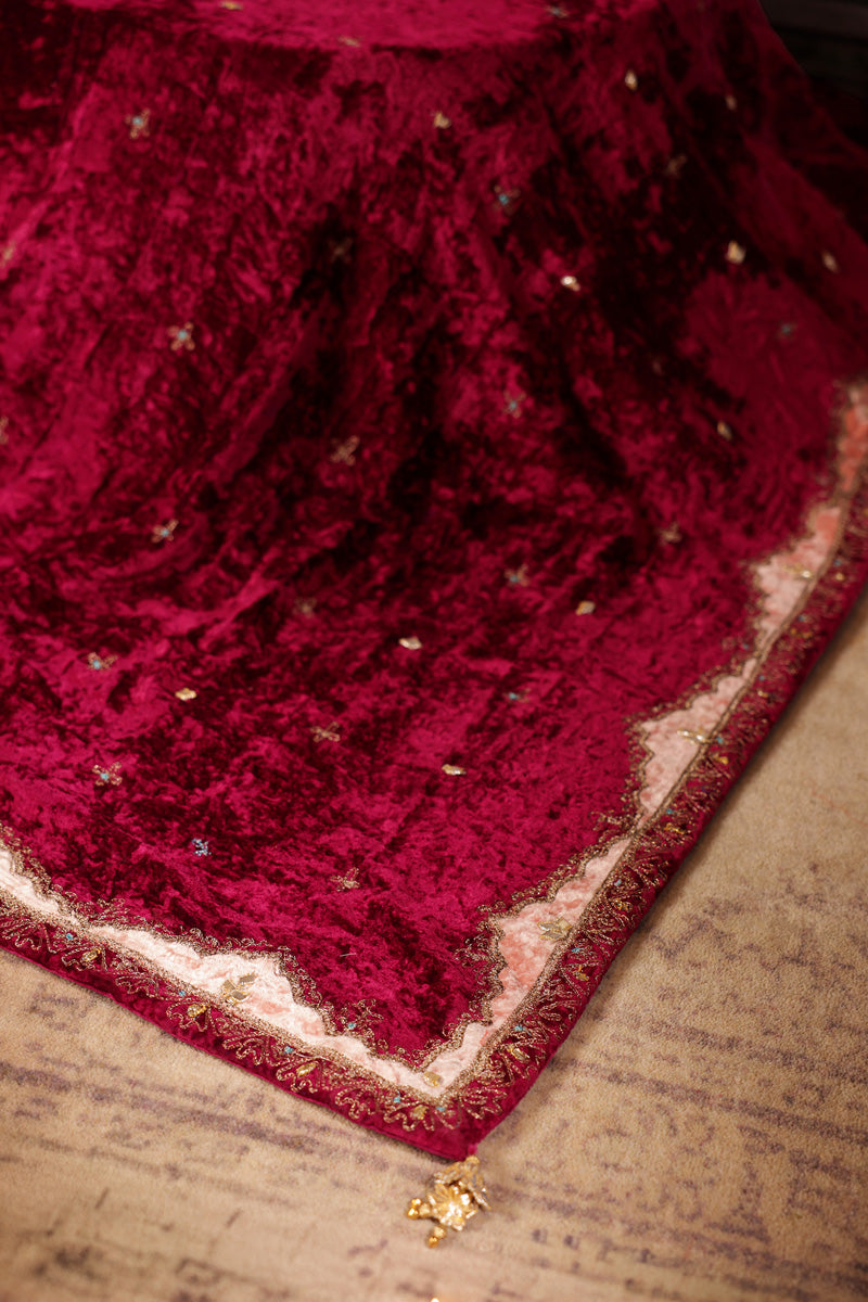 Gilded Velvet Shawl