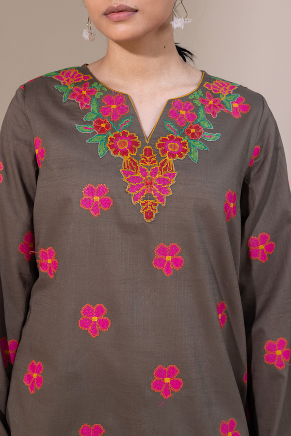 Pyari Paras Embroidered Set