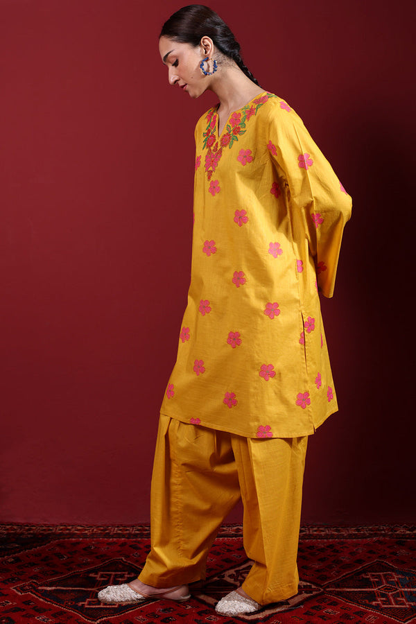 Pyari Paras Embroidered Set