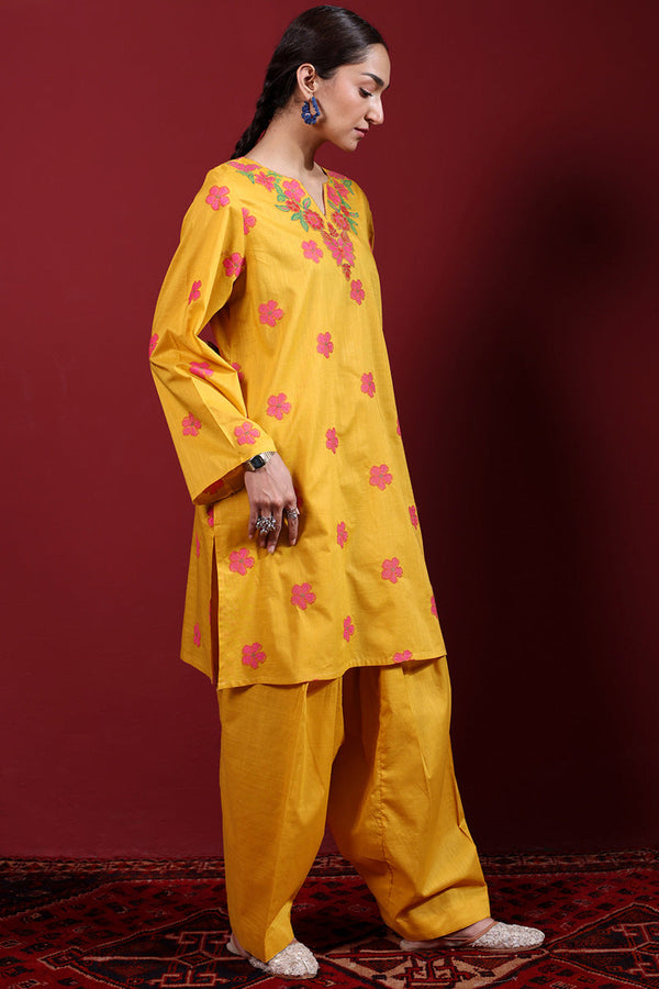 Pyari Paras Embroidered Set