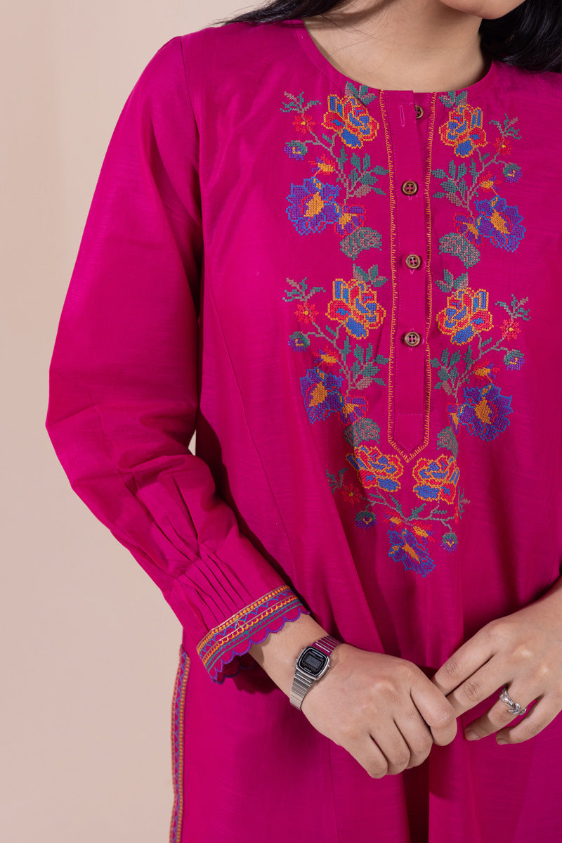 Pyari Paras Embroidered Set