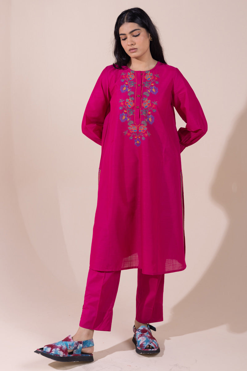 Pyari Paras Embroidered Set