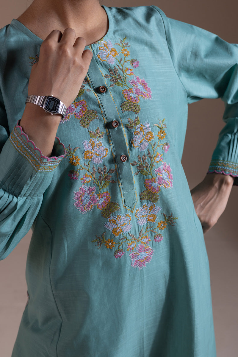 Pyari Paras Embroidered Set