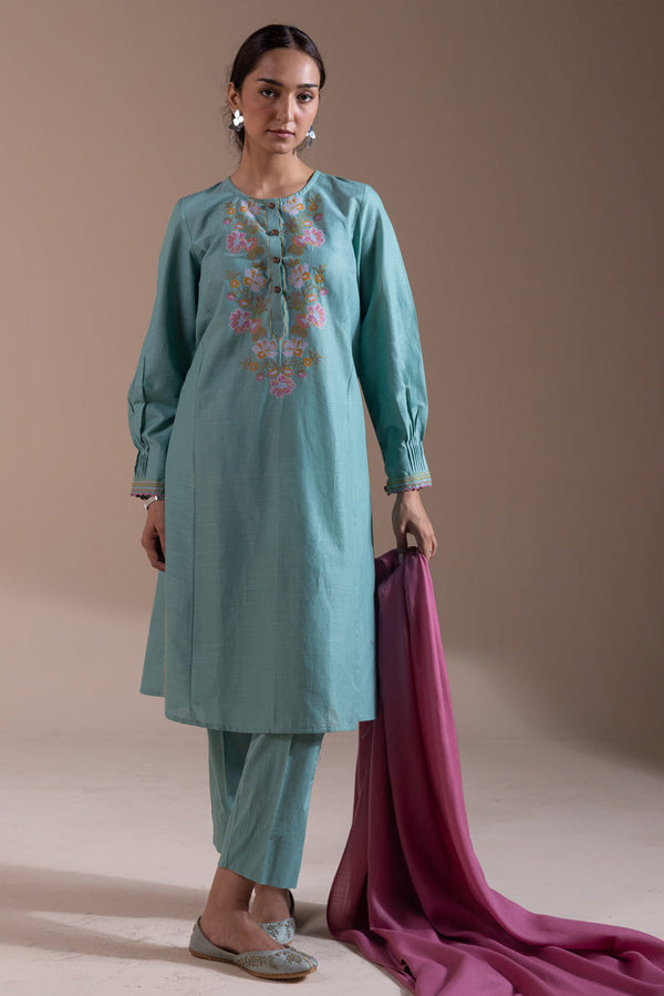 Pyari Paras Embroidered Set