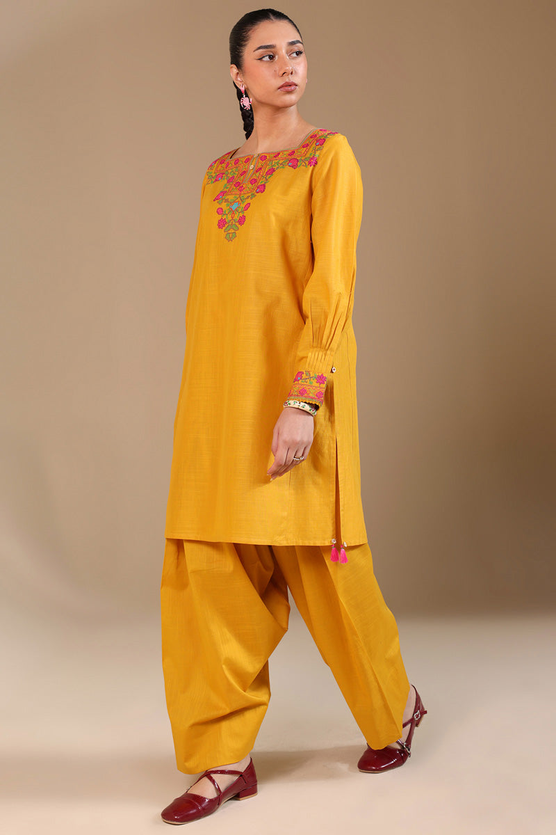 Pyari Paras Cross-Stitch Set