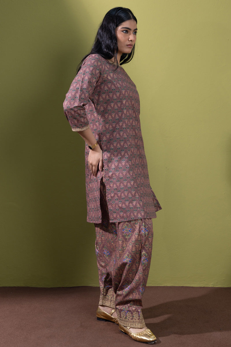 Fresco Frenzy Dewlit Set