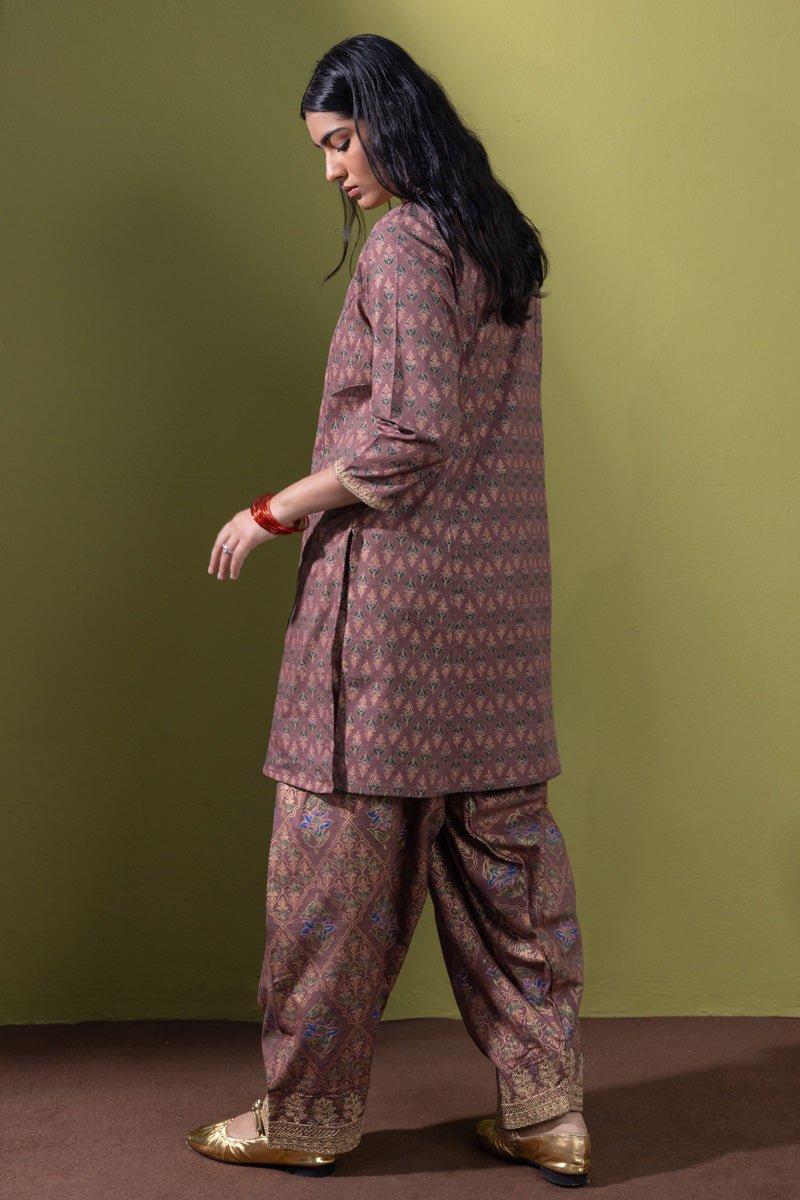 Fresco Frenzy Dewlit Set