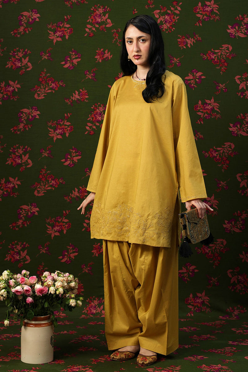 Kesariya Embroidered Set
