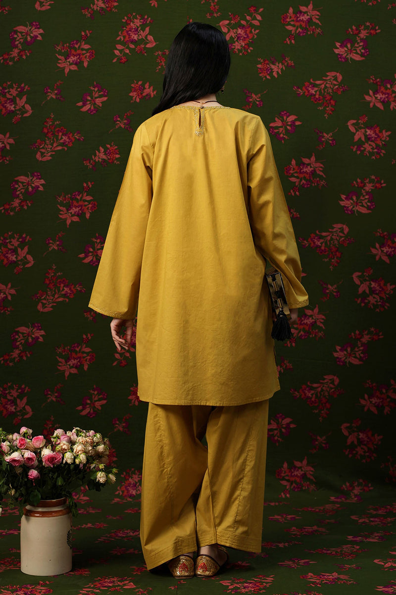 Kesariya Embroidered Set