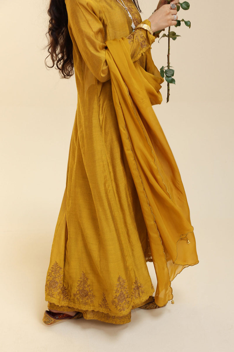 Zar Gul Embroidered Ensemble