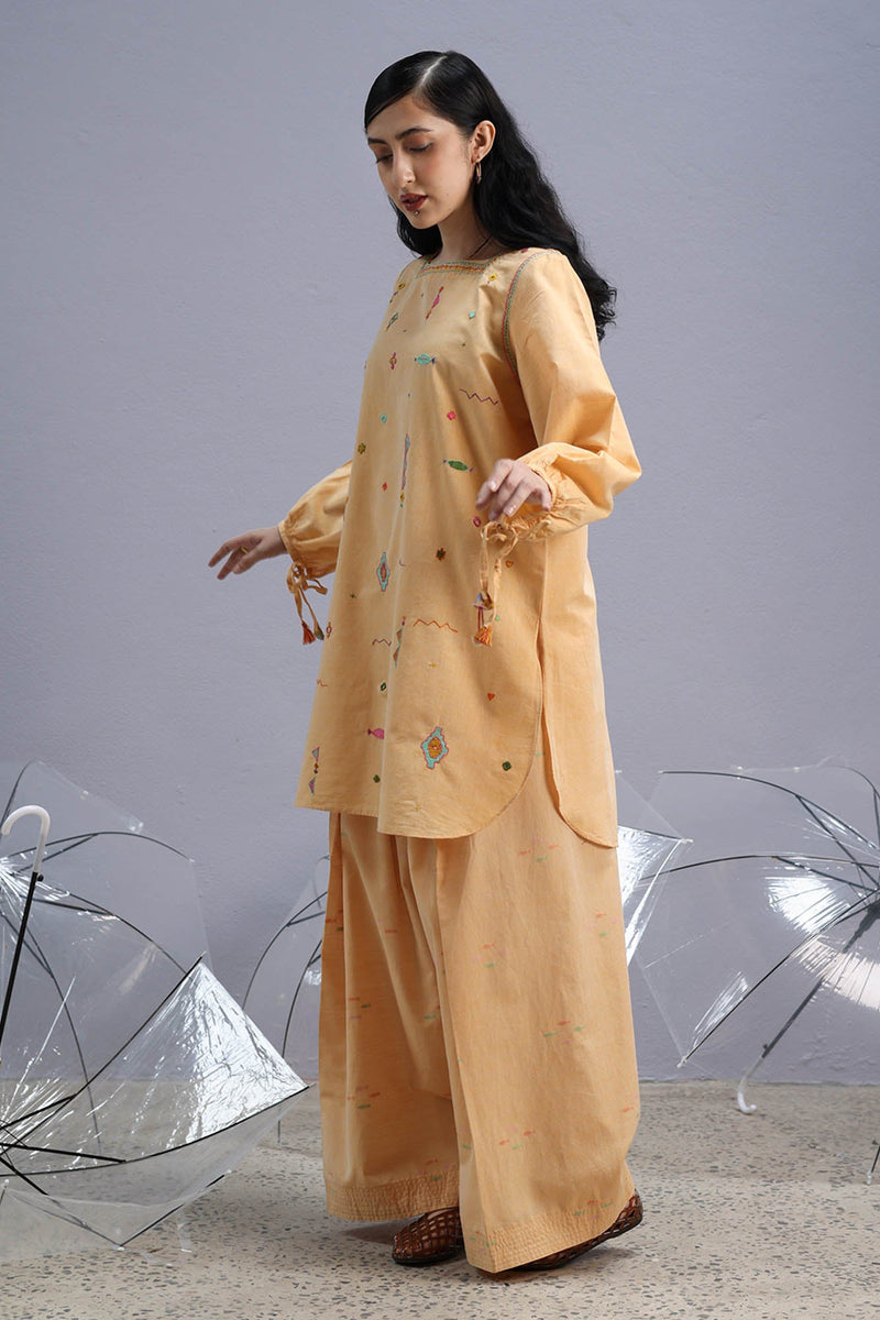 Hand-Embroidered Farshi Set