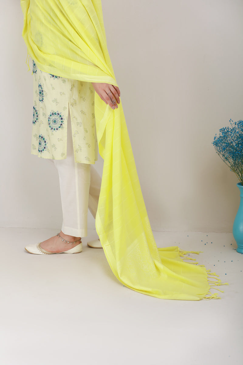 Yarn Dyed Dupatta Generation International